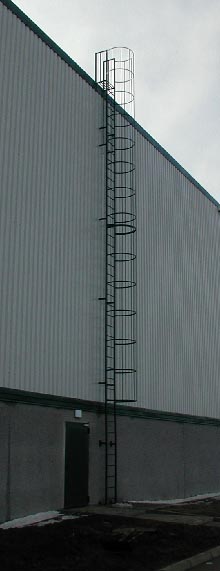 Ladder